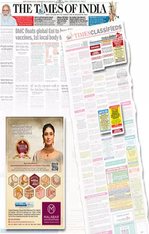 Dainik Gomantak tearsheet proof
